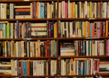 Sociology Books for UPSC Optional – Best Books & Also in Hindi