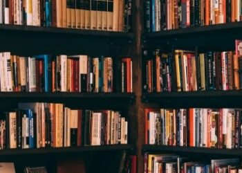 UPSC Prelims Paper Previous Year Question Papers for IAS Exam | PDF