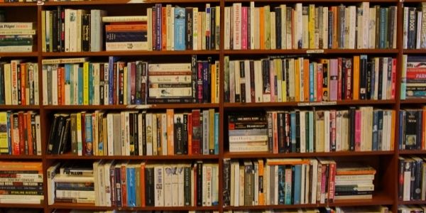 Get some tips for the UPSC PSIR optional syllabus for the UPSC exam.