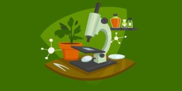 Botany Syllabus for UPSC – Botany Optional Syllabus for IAS Exam