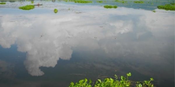Know largest  and the smallest Ramsar sites in India