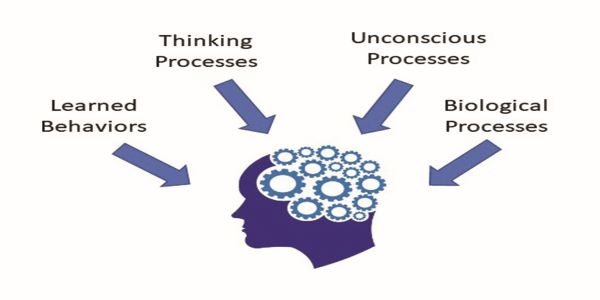 The UPSC IAS Psychology Optional Paper Syllabus Paper one talks about some very imp concepts around the topic like learning, motivation, memory, etc. 