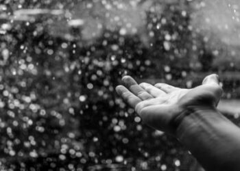 What is Acid Rain? – Causes, Effects, pH & Definition | for UPSC