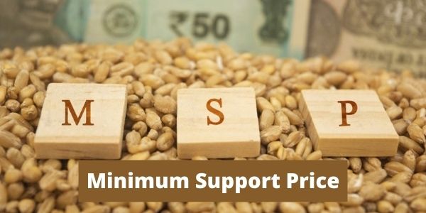 Minimum Support Price In Economics Definition