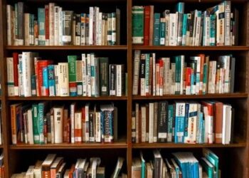 Non-Constitutional Bodies in India (Statutory and Non-Statutory Body)