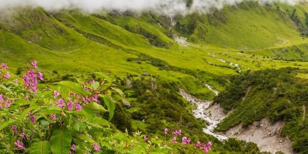 Know FAQs related to the Biosphere Reserves in India
