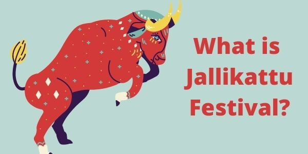 Jallikattu Festival