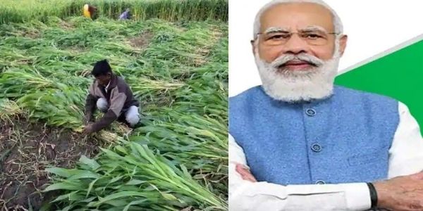 Know FAQs related to the pradhan mantri kisan samman nidhi and official website details