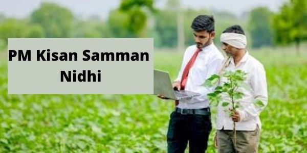 Get all information related to the PM Kisan Samman Nidhi