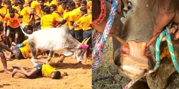 Tamil culture