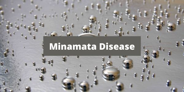 Get all information related to the Minamata Disease and other related information