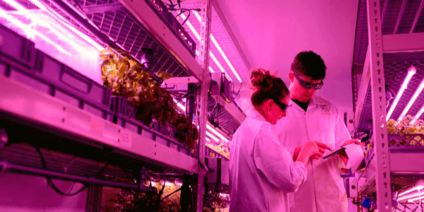 Vertical Farming