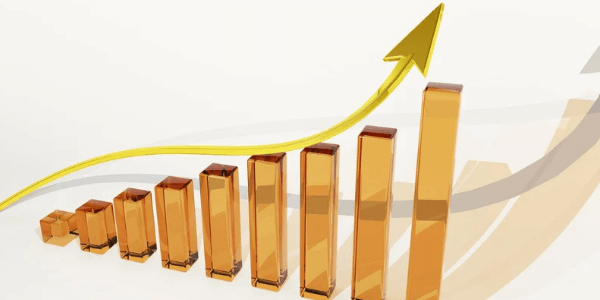 Inclusive Growth