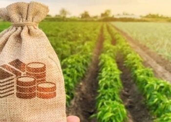 Zamindari System in India – What is? | Introduced by & Abolition