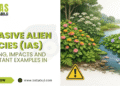 Invasive Alien Species (IAS)