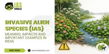 Invasive Alien Species (IAS)