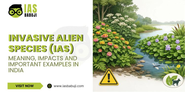 Invasive Alien Species (IAS)